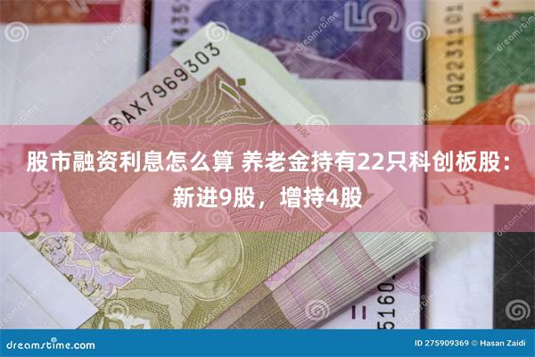 股市融资利息怎么算 养老金持有22只科创板股：新进9股，增持4股