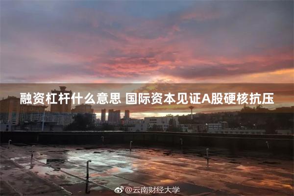 融资杠杆什么意思 国际资本见证A股硬核抗压