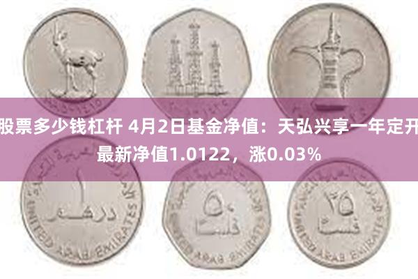 股票多少钱杠杆 4月2日基金净值：天弘兴享一年定开最新净值1.0122，涨0.03%