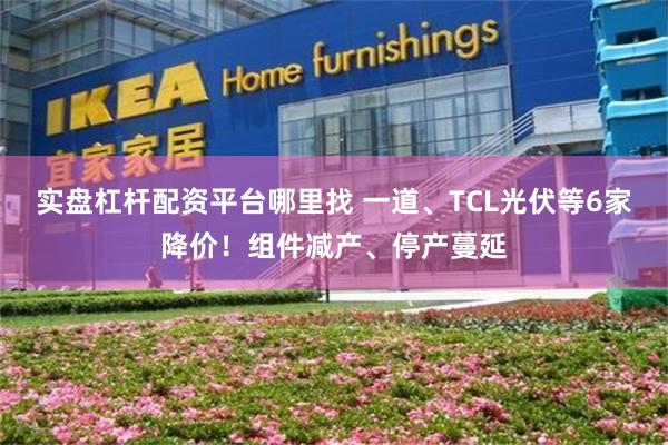 实盘杠杆配资平台哪里找 一道、TCL光伏等6家降价！组件减产、停产蔓延