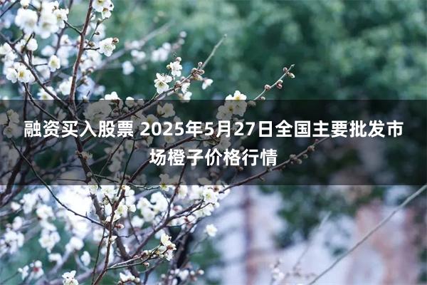 融资买入股票 2025年5月27日全国主要批发市场橙子价格行情
