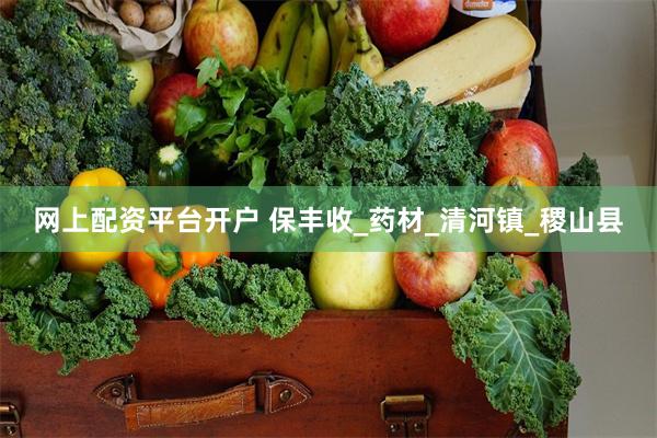 网上配资平台开户 保丰收_药材_清河镇_稷山县