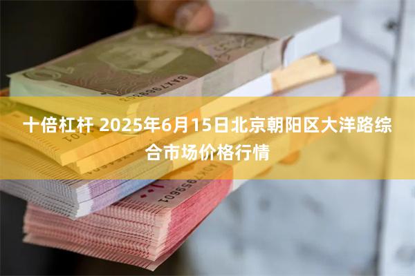 十倍杠杆 2025年6月15日北京朝阳区大洋路综合市场价格行情