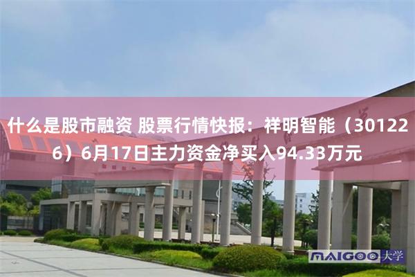 什么是股市融资 股票行情快报：祥明智能（301226）6月17日主力资金净买入94.33万元